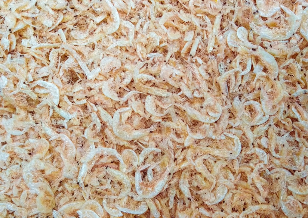 udang rebon